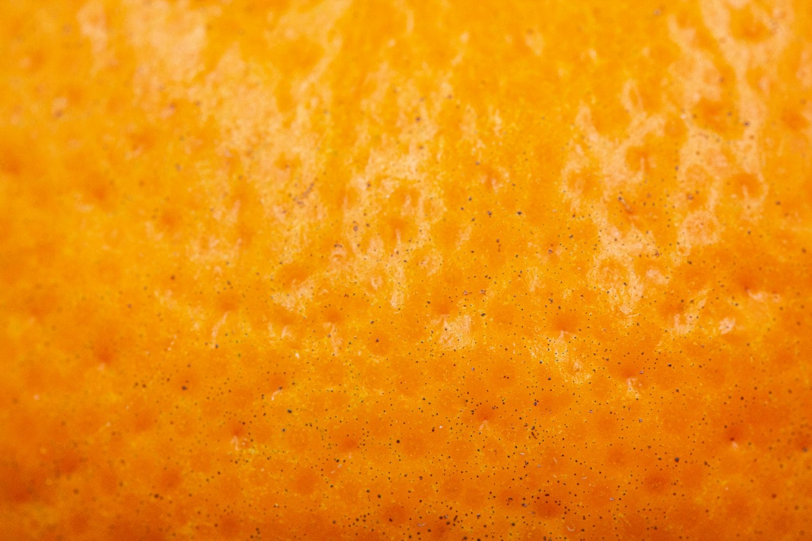 skin oranges mandarin . texture close up.